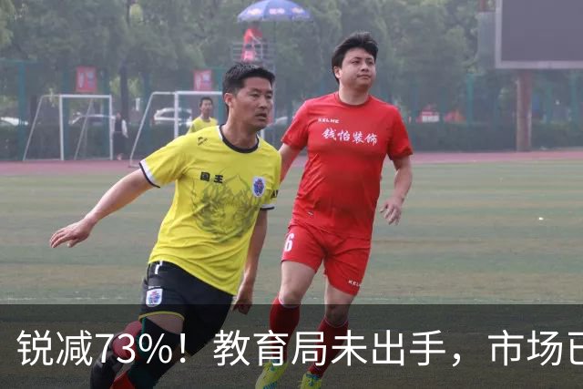锐减73%！教育局未出手，市场已自我崩溃！